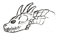 Wo-Sa-Ga Head Sketch